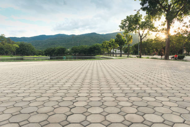 Best Decorative Driveway Pavers  in Chubbuck, ID